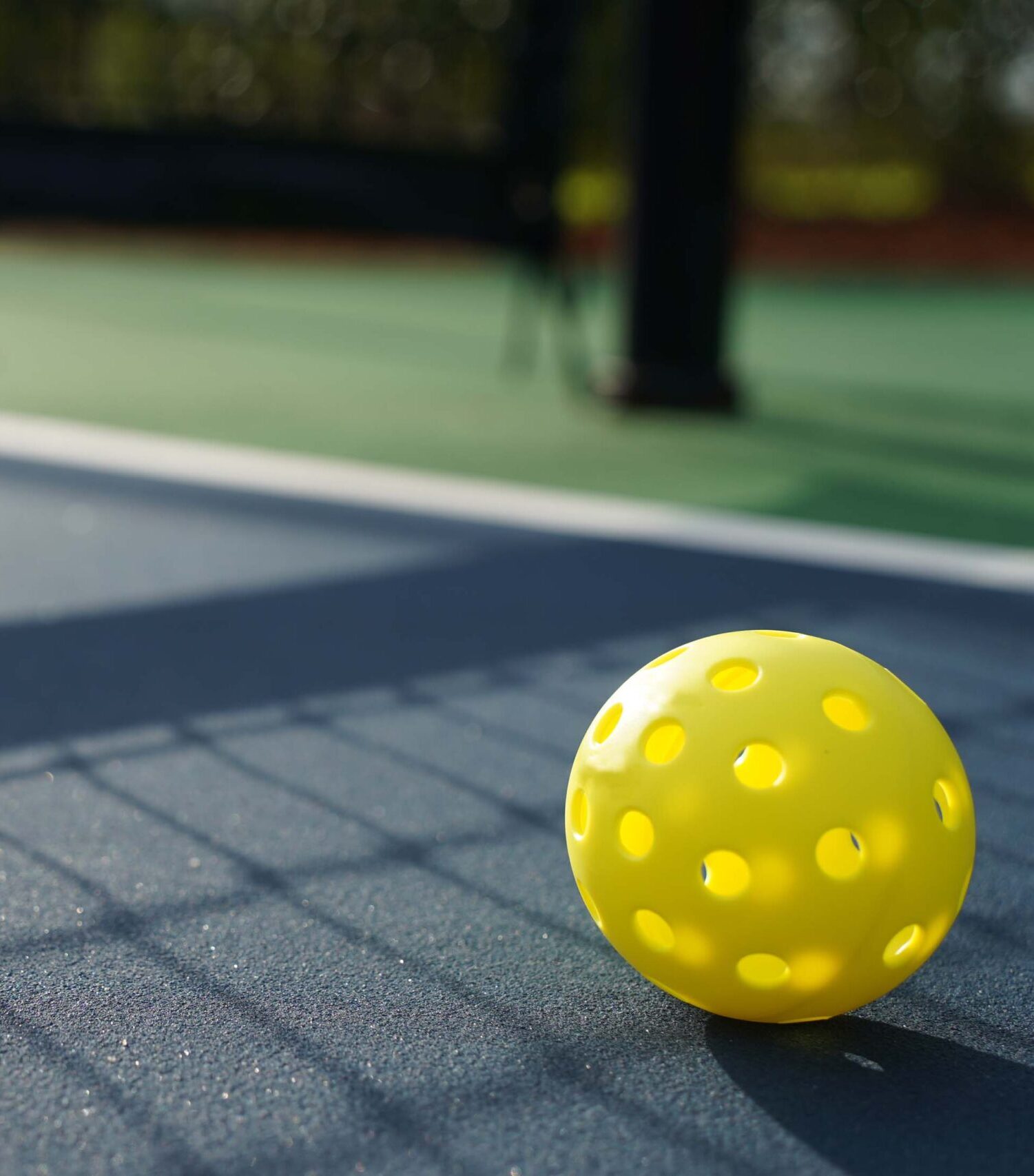 Pickleball Court Installers Flagship Flooring
